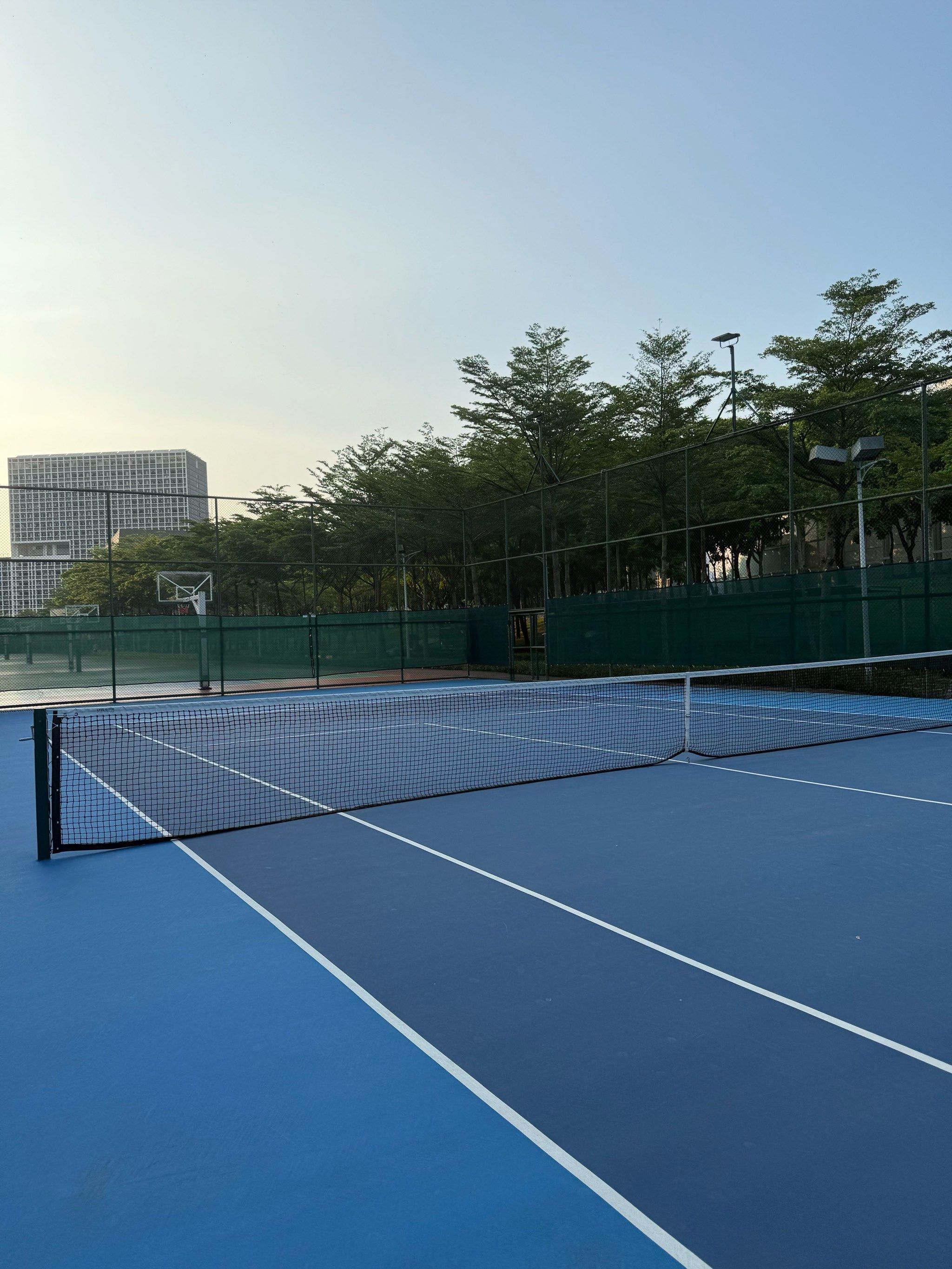 未来的诸多 未来的诸多